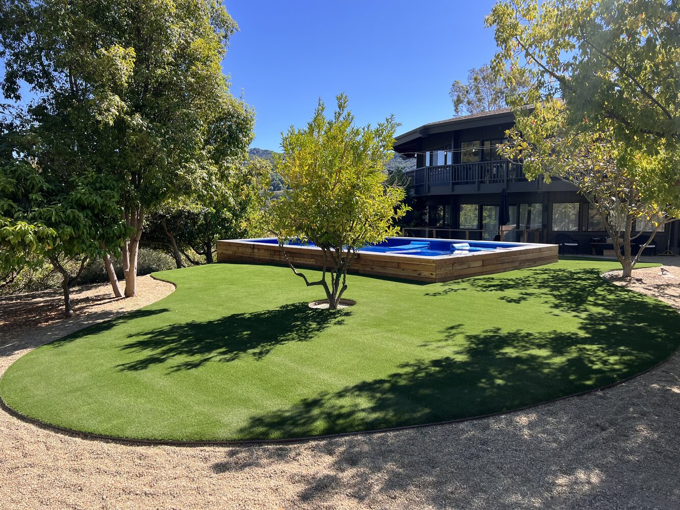 Drought-proof lawn